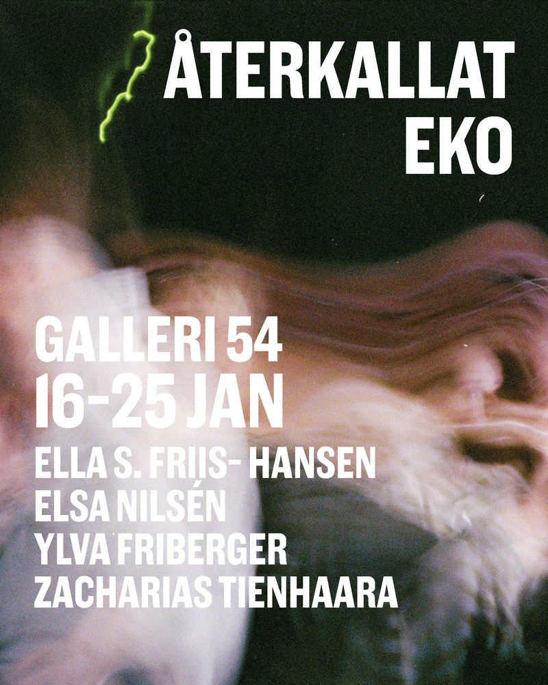 Ella S. Friis-Hansen, Elsa Nilsén,  Ylva Friberger, Zacharias Tienhaara DÔMEN KONSTSKOLAS STIPENDIATER:  Återkallat eko