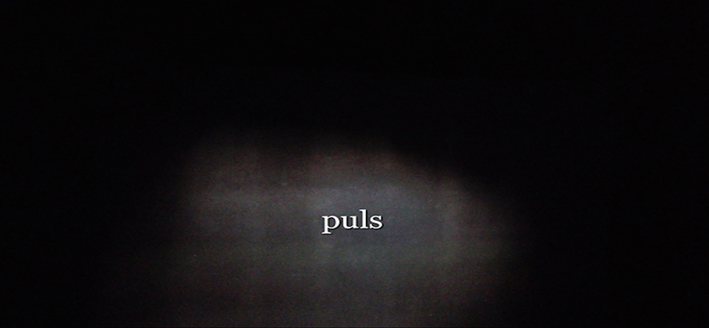 PULS- DIANA STORÅSEN, MIKAEL BOJEN