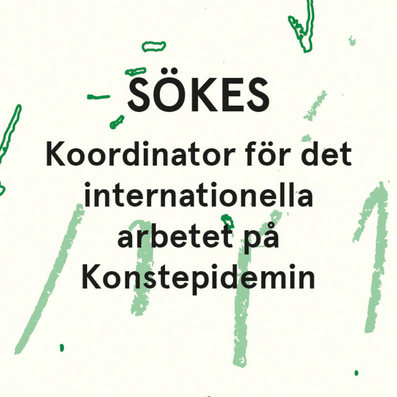 Internationell koordinator  