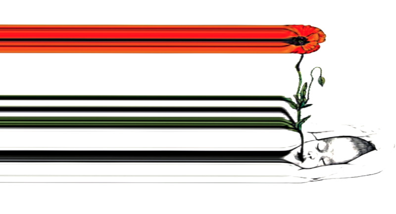 Mysticisme des fleurs  konstanimation https://www.youtube.com/@kristerkennedy7221