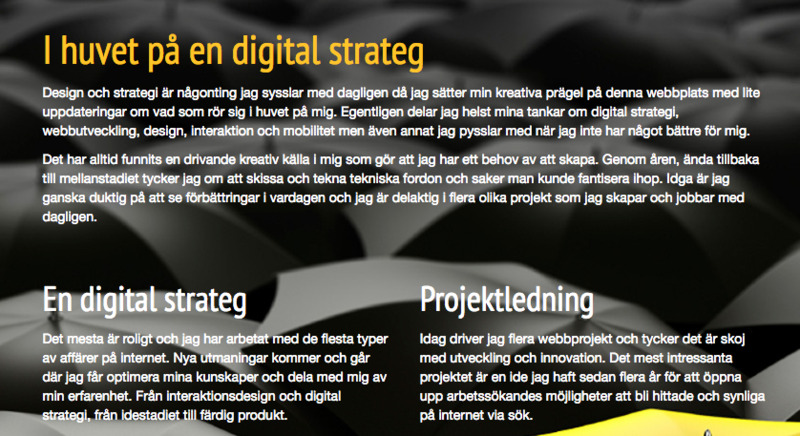 Digital strateg med SEO-expertis