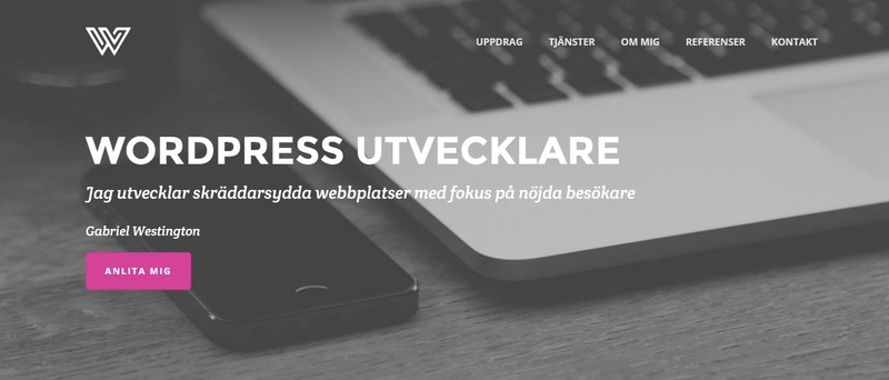 Anlita en Webbutvecklare